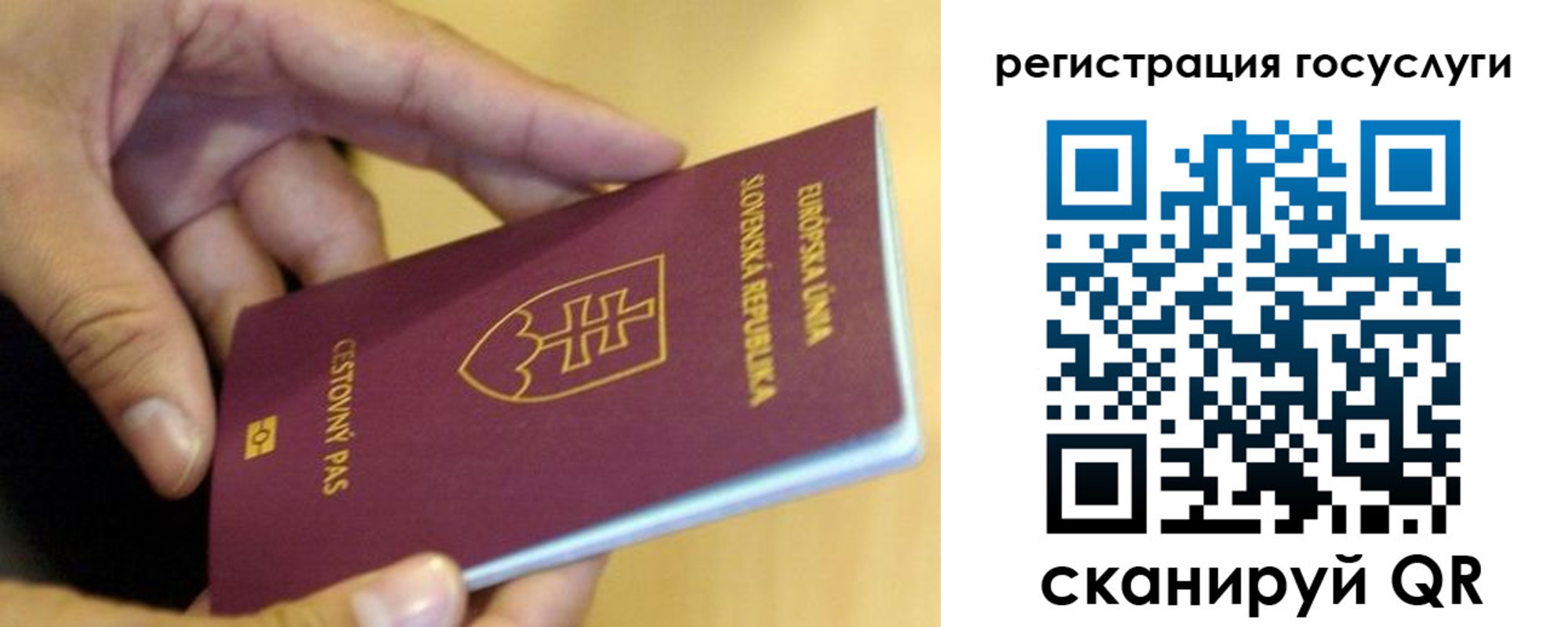 прописка в квартире в Оленегорске